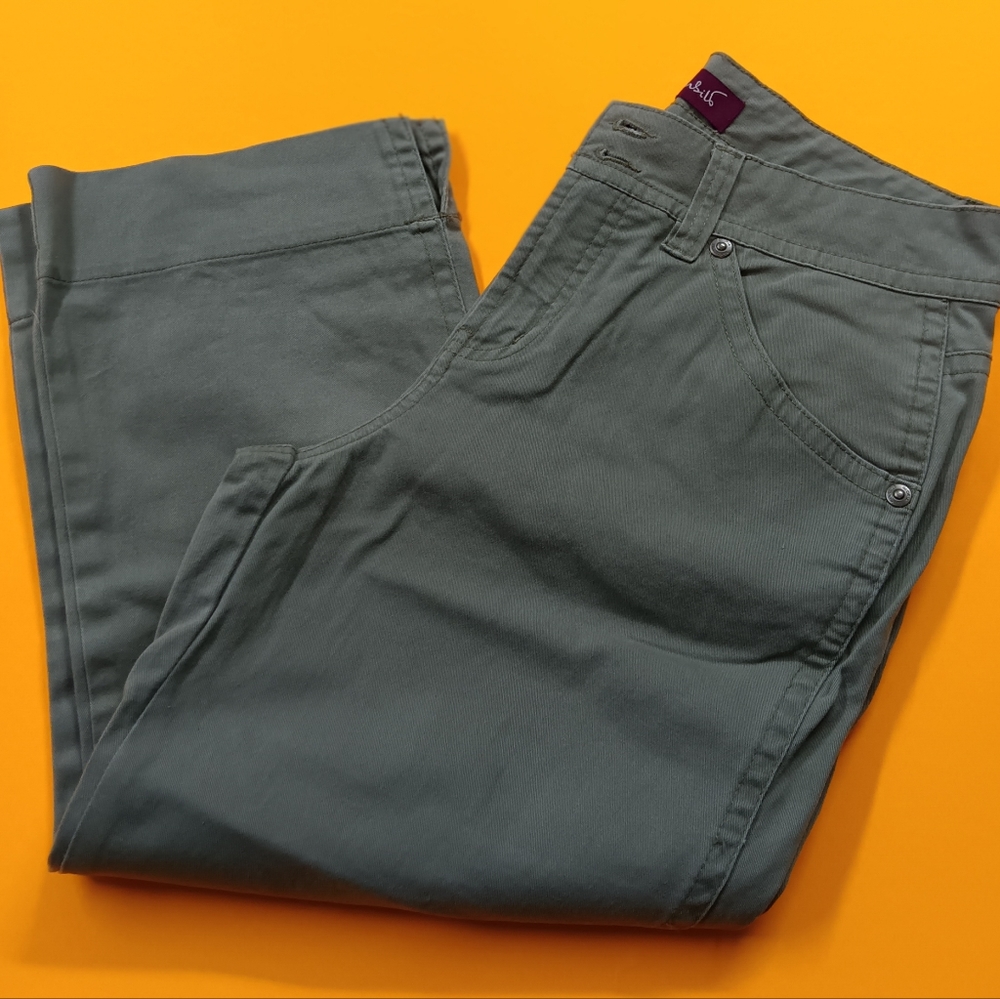 Gloria Vanderbilt green capris size 6